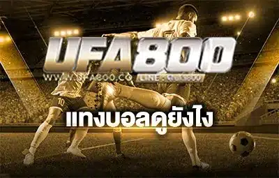 แทงบอลดูยังไง